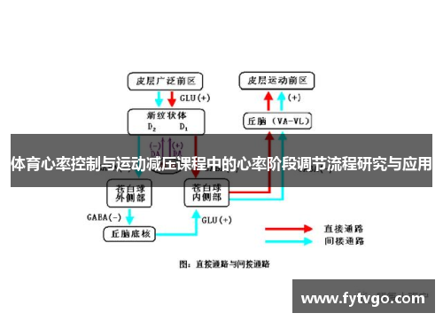 体育心率控制与运动减压课程中的心率阶段调节流程研究与应用